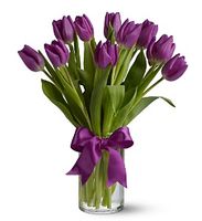 Purple Tulips
