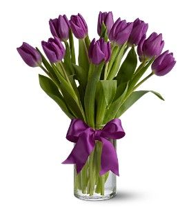 Purple Tulips 