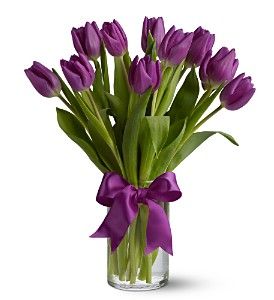 Purple Tulips