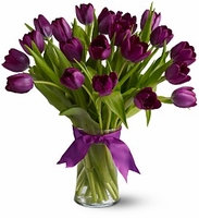 Purple Tulips — Deluxe Purple Tulips — Deluxe