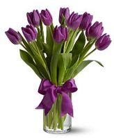 Purple Tulips Flowers