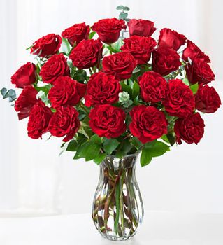 Queen of Hearts Roses 