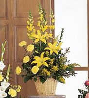 Ray of Hope Arrangement