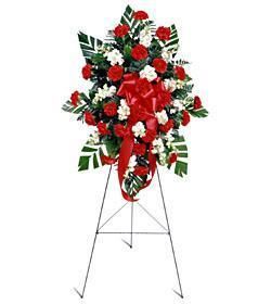 Red And White Standing Spray