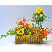 Red and yellow rose basket
