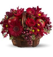 Red Delicious Red Delicious