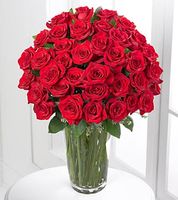 Red Rose Bouquet - Long Stem Roses Red Rose Bouquet - Long Stem Roses