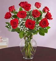 Red Roses Red Roses