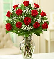 Red Roses Valentine