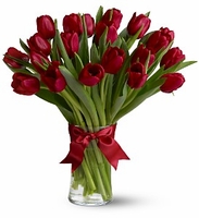 Red Tulips  Deluxe