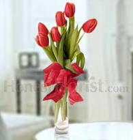 Red Tulips Express