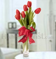Red Tulips Express