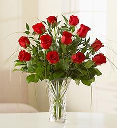 Rose Elegance