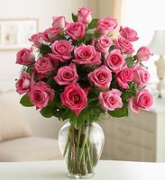 Rose Elegance Premium Long Stem Pink Roses 