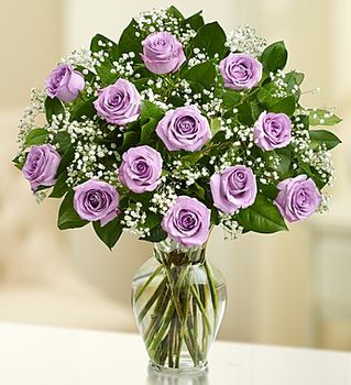 Rose Elegance Premium Long Stem Purple Roses