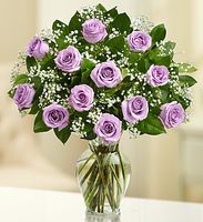 Rose Elegance Premium Long Stem Purple Roses