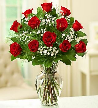 Rose Elegance Premium Long Stem Red Roses Valentine