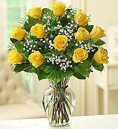Rose Elegance Premium Long Stem Yellow Roses  