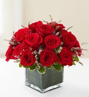 Rose Romance