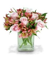 Rose Special