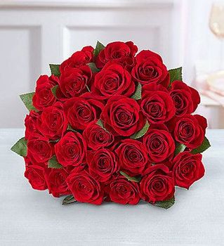  Roses - Dallas Texas (TX) Florist Flower Shop 