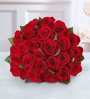  Roses - Dallas Texas (TX) Florist Flower Shop 