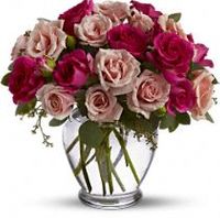 Roses are Pink