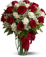 Roses Love and romance Roses Love and romance