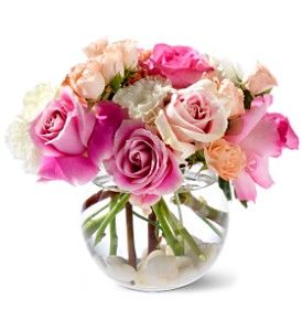 Roses on the Rocks 