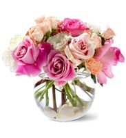 Roses on the Rocks Roses on the Rocks