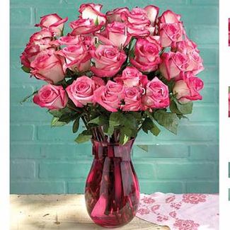 Roses pink 24 roses