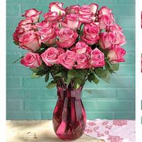 Roses pink 24 roses Roses pink 24 roses