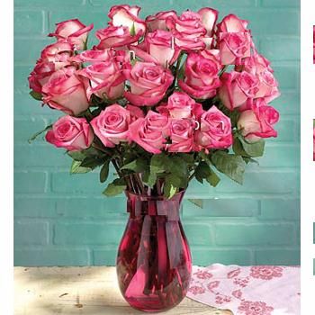 Roses pink 24 roses