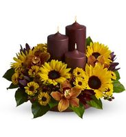 Rustic Radiance Rustic Radiance