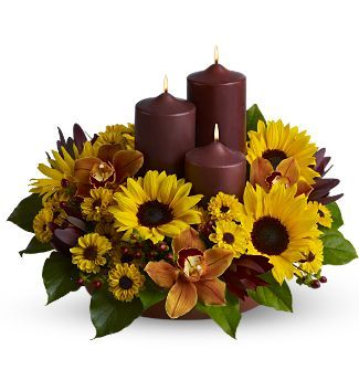 Rustic Radiance