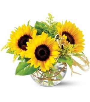 Sassy Sunflowers