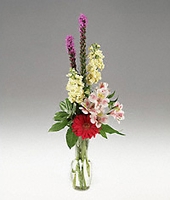 Secretaries Day Flowers&  Gifts