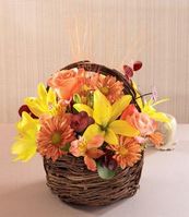 Sensational Splendor Basket Sensational Splendor Basket
