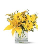 Service flowers delivery Hospitals in Mesquite, TX