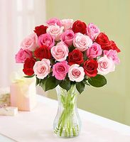 Shades Of Her Love Roses 