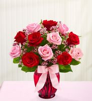 Shades of Pink and Red 