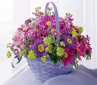 Shades of Purple