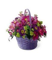 Shades Of Purple 