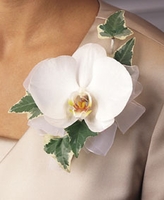 Single Phalaenopsis Corsage