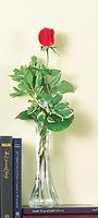 Single Rose in a Bud Vase