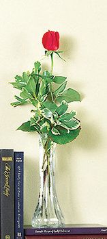 Single Rose in a Bud Vase