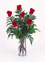 Six red rose 