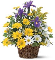 Smiling Spring Basket Flowers 