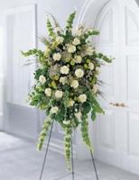 Splendor Standing Spray 