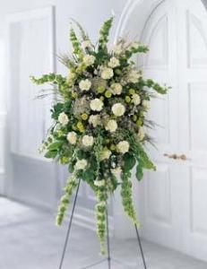 Splendor Standing Spray 